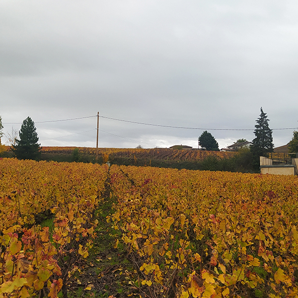 Etude de requalification urbaine – Cercié-en-Beaujolais